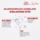 Wella Professionals BlondorPlex - Leave-in Bifásico Antifrizz 145ml (8)