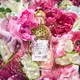 Aqua Allegoria Rosa Verde Guerlain Eau de Toilette - Perfume Feminino 75ml (3)