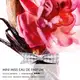 Miss Dior DIOR Eau de Parfum - Perfume Feminino em Stick 3,2g (3)