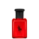 Conjunto The Polo Collection Ralph Lauren Masculino Eau de Toilette 40ml + Eau de Toilette 40ml + Eau de Toilette 40ml (5)