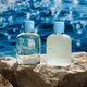Light Blue Pour Homme Dolce & Gabbana Eau de Parfum - Perfume Masculino 100ml (6)