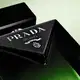 Paradigme Prada Le Parfum - Perfume Masculino 100ml (5)