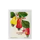 Isolda Cajueiro Phebo Eau de Parfum - Perfume Unissex 100ml (2)