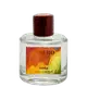 Ginga Phebo Eau de Parfum - Perfume Unissex 100ml (1)