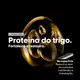 L'Oréal Professionnel Serie Expert Absolut Repair Omega-9 + Protein - Condicionador  1L (7)