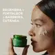 Weleda Skin Food Noite - Creme Facial 40ml (3)