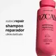 Vizcaya Amino Repair - Shampoo Reparador 250ml (2)