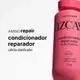 Vizcaya Amino Repair - Condicionador Reparador 250ml (2)