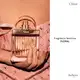 Love Story Chloé Eau de Parfum - Perfume Feminino 50ml (2)