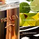 La Femme PRADA Eau de Parfum – Perfume Feminino 35ml (6)