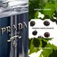 L'Homme PRADA Eau de Toilette - Perfume Masculino 100ml (5)