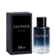 Sauvage Dior Eau de Toilette - Perfume Masculino 100ml (4)