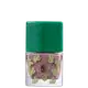 Latika Cactus Argile - Esmalte Cremoso 9ml (2)