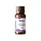 Vita Derm Óleo Essencial de Lavanda 10ml (2)