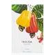 Isolda Cajueiro Phebo Eau de Parfum - Perfume Unissex 100ml (3)