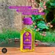 Lola From Rio Pinga! Patauá & Moringa - Óleo Capilar 50ml (2)