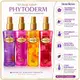Kit Presente Phytoderm Deo Colônia: Intense Love, Sexy Girl, Pure Secret e Vanilla Kiss 200ml e Rosa com Ursinho (2)