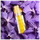 Clarins Plant Gold - Óleo Hidratante Facial 38ml (7)