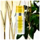 Clarins Plant Gold - Óleo Hidratante Facial 38ml (6)
