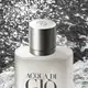 Acqua di Giò Giorgio Armani Pour Homme Eau de Toilette - Perfume Masculino 100ml (11)