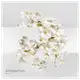 Un Jardin sur la Lagune Hermès Eau de Toilette - Perfume Unissex 30ml (6)