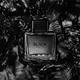 Seduction in Black Banderas Eau de Toilette - Perfume Masculino 100ml (6)
