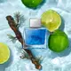 Blue Seduction Banderas Eau de Toilette - Perfume Masculino 100ml (4)