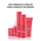Kit Wella Professionals Invigo Color Brilliance (2 Produtos) (3)