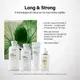 Kit Keune Long & Strong - Fortalecimento e Crescimento (2 produtos) (4)