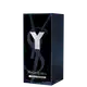 Y Yves Saint Laurent Eau de Parfum - Perfume Masculino 100ml (2)