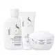 Kit Alfaparf Semi di Lino Diamond -Sh 250ml + Cond 200ml + Másc 200ml (1)