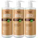 Kit 3 Condicionador Crespo Power Apice Apse Hidratação Cabelo Profissional Limpeza Suave Vegano 1L	