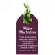 Shampoo em Òleo Apice 210ml (4)
