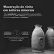 Malbec Icon Desodorante Colônia 100ml (7)