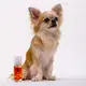 Colônia Au.Migos Pets 60ml (2)