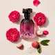 Floratta Rose Sucrée o Boticário - Eau De Parfum Feminino 75ml (2)