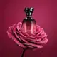 Floratta Rose Sucrée o Boticário - Eau De Parfum Feminino 75ml (4)