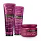 Combo Siàge Pro Cronology: Shampoo 250ml + Condicionador 200ml + Máscara de Hidratação 250g (1)