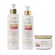 Combo Siàge Dermo Hair Resistência Antiqueda: Shampoo 300ml + Condicionador 280ml + Máscara 250g