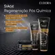 Máscara Repositora Siàge Expert Regeneração Pós Química 500g (3)
