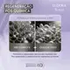 Shampoo Siàge Expert Regeneração Pós Química 250ml (4)