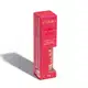 Contorno Stick Multifuncional Cor 1 Niina Secrets 5g (11)