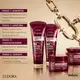 Eudora Siàge Ultra Bond Reset - Shampoo 250ml (5)