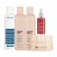 Kit Prohall Extreme Repair Home Care + Select One 300ml + Absolut Oil 60ml