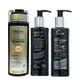 Kit Truss No Metal - Shampoo 300ml + Night SPA 250ml + Hair Protector 250ml
