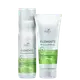 Kit Wella Professionals Elements Renewing Essencials (2 Produtos) (1)