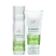 Kit Wella Professionals Elements Renewing Duo (2 Produtos) (1)
