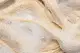 Kit TRUSS Blond Revolution Duo (2 Produtos) (7)