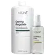 Kit Keune Luminous Coat e Derma Regulate (2 Produtos)