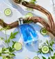 Nautica Blue Eau de Toilette - Perfume Masculino 100ml (3)